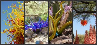 Botanical Gardens Collage 1