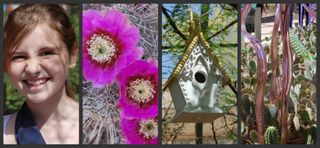 Botanical Garden Collage 4