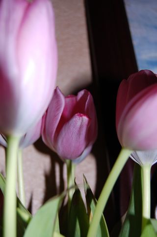 029