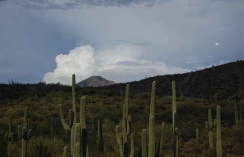 090
