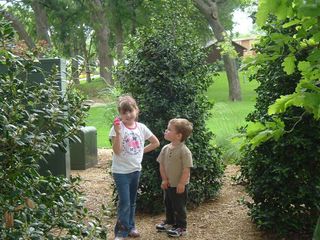 2006_0415Image0016