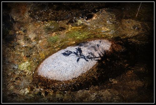 DSC_0160a