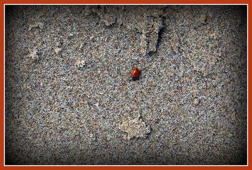 DSC_0156a