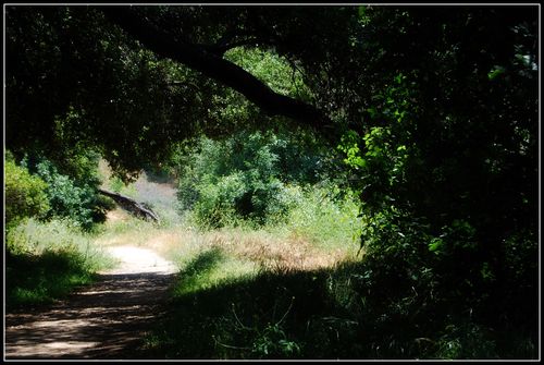 DSC_0199ab