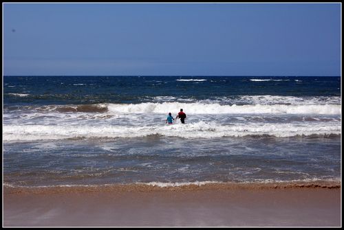 DSC_0203a