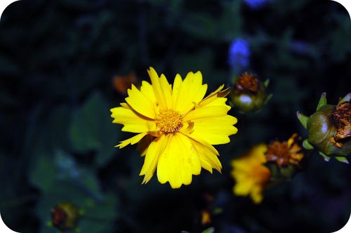 DSC_0212a