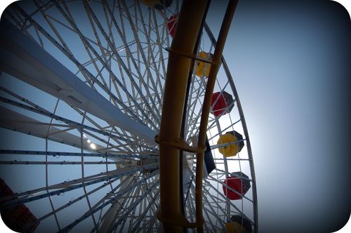 DSC_0090a
