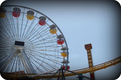 DSC_0103a