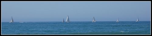 DSC_0135a