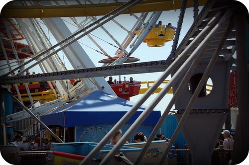 DSC_0117a