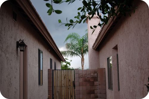 DSC_0016a