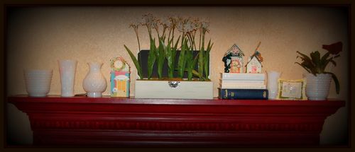 DSC_0038a DSC_0038a