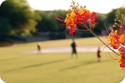 DSC_0112a DSC_0112a