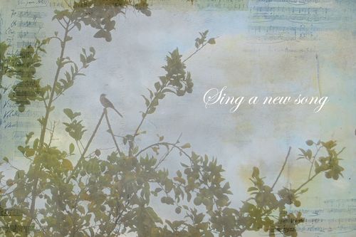 Sing a New Song