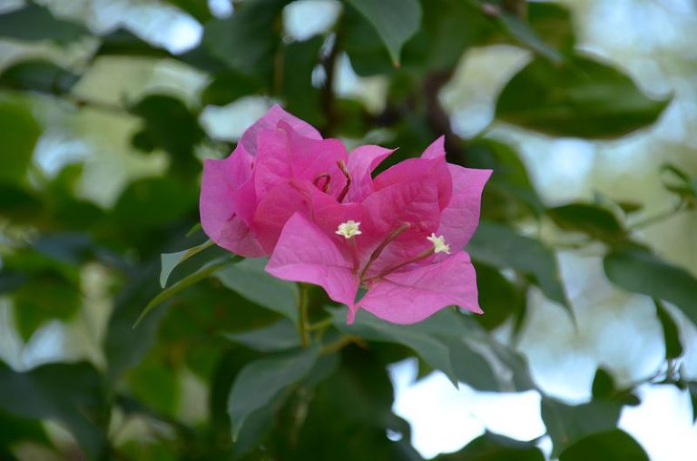 DSC_4735