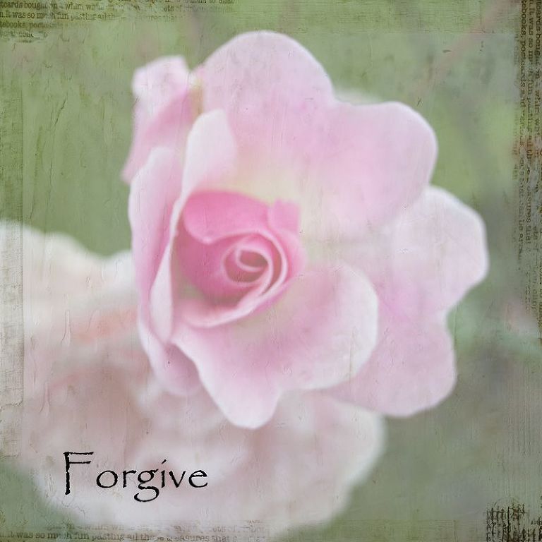 Forgive