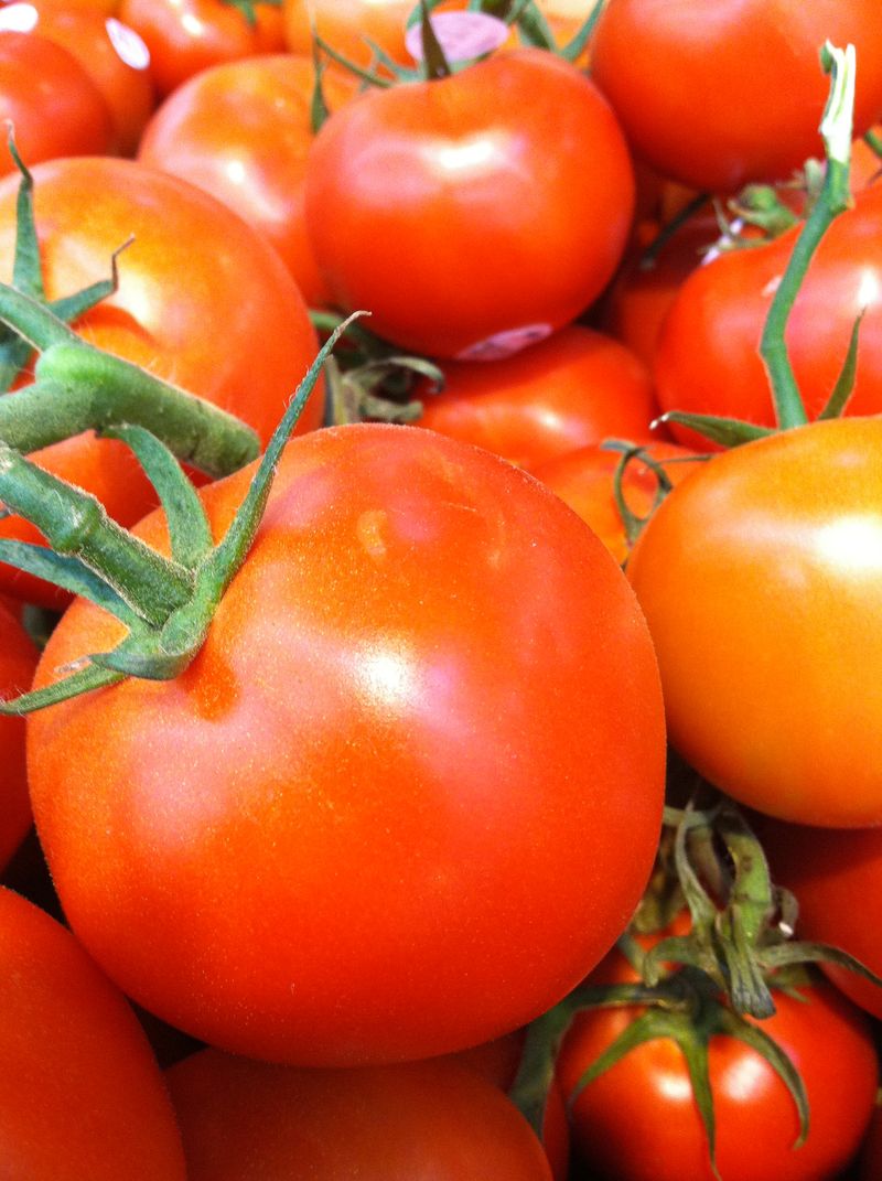 Post Champions For Kids 6