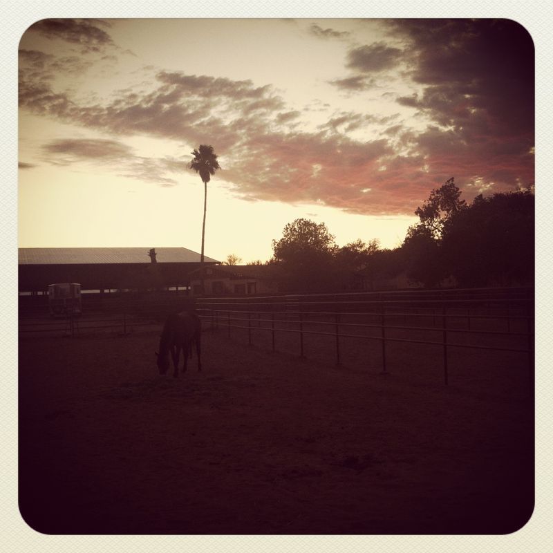 Lowell Observatory Flagstaff-3