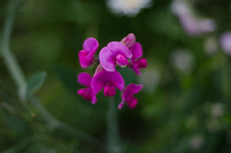 Lowell Observatory Flagstaff-9