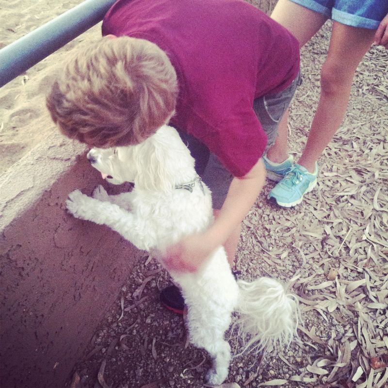 Lowell Observatory Flagstaff-2