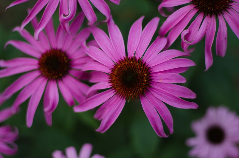 Miscarriage and The Rules around Sharing