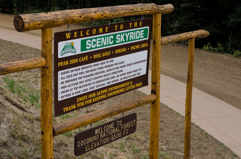 Carefree English Rose Tea Room-62