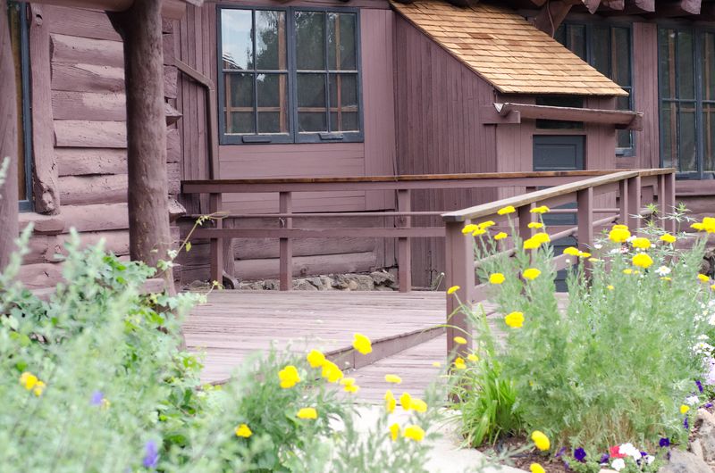 Carefree English Rose Tea Room-124