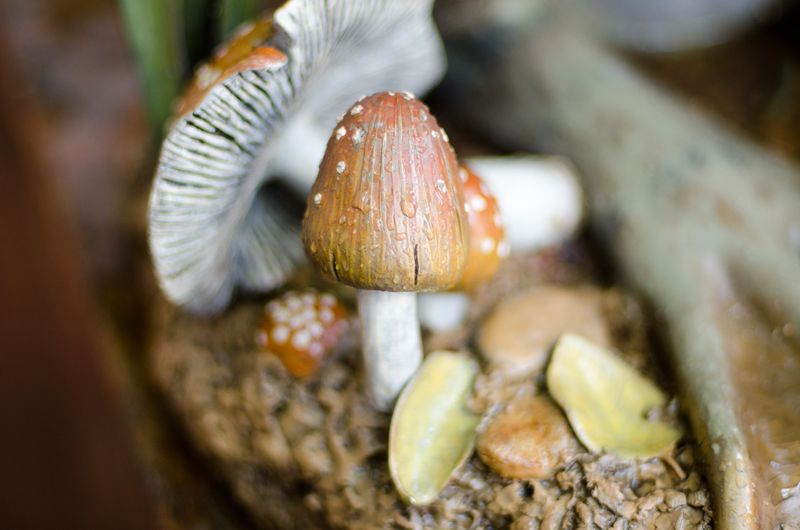 Songs Kate Sang Photography-4-2