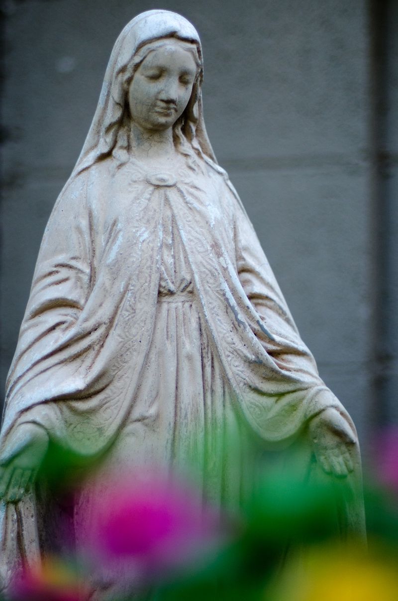 Songs Kate Sang Photography-9