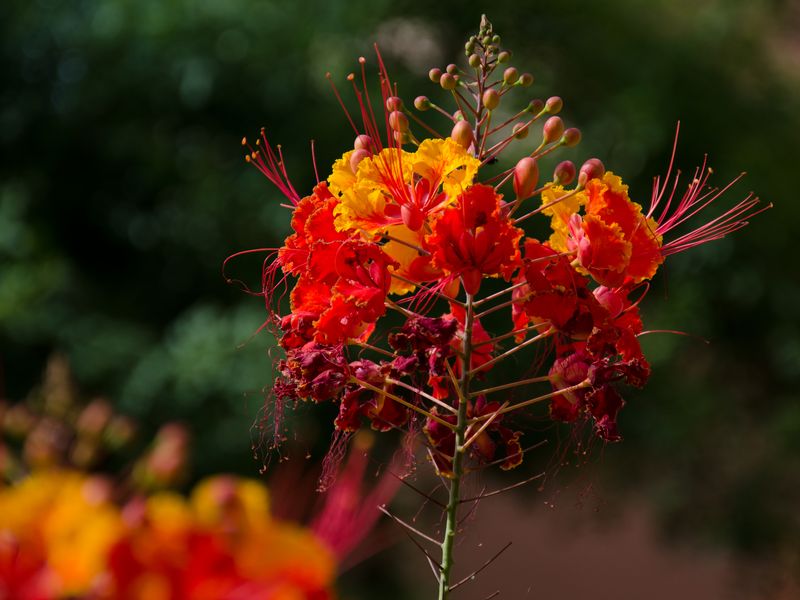 Kate Eschbach Photography-32