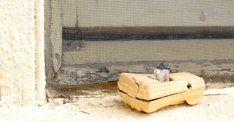 Kate Eschbach Photography-13