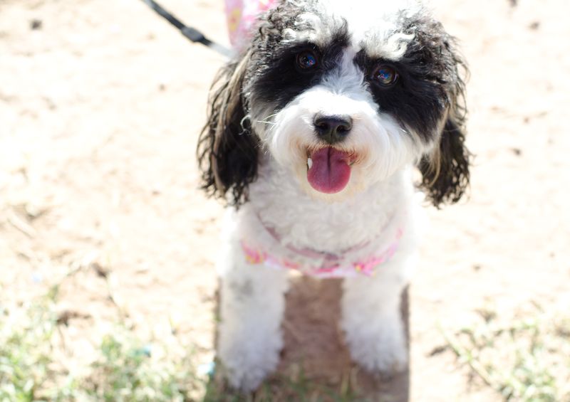 Kate Eschbach Photography-19