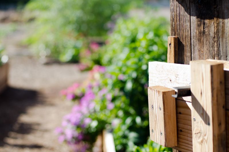 Eschbach Thompson Fall Break-181