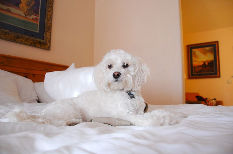 Kate Eschbach Photography-18