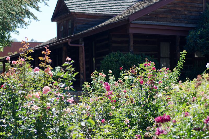 Eschbach Thompson Fall Break-114