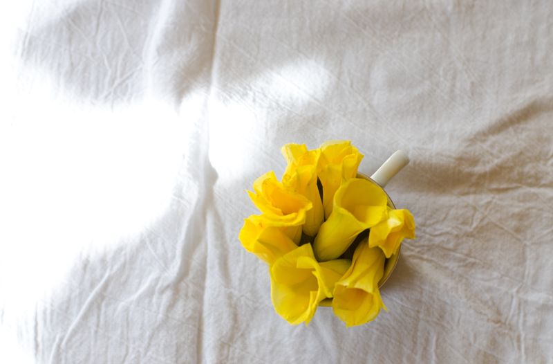Kate Eschbach Photography - Yellow Buttercups-7