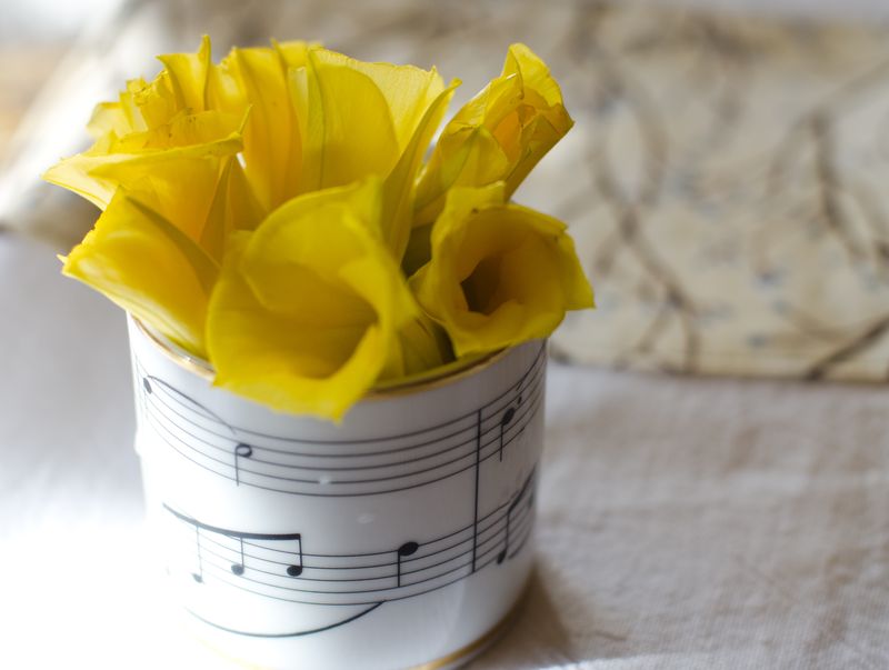 Kate Eschbach Photography - Yellow Buttercups-3