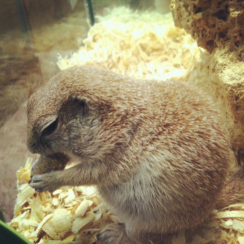 Kate Eschbach iPhone-15