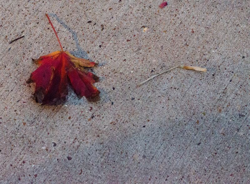 Kate Eschbach Photography-50