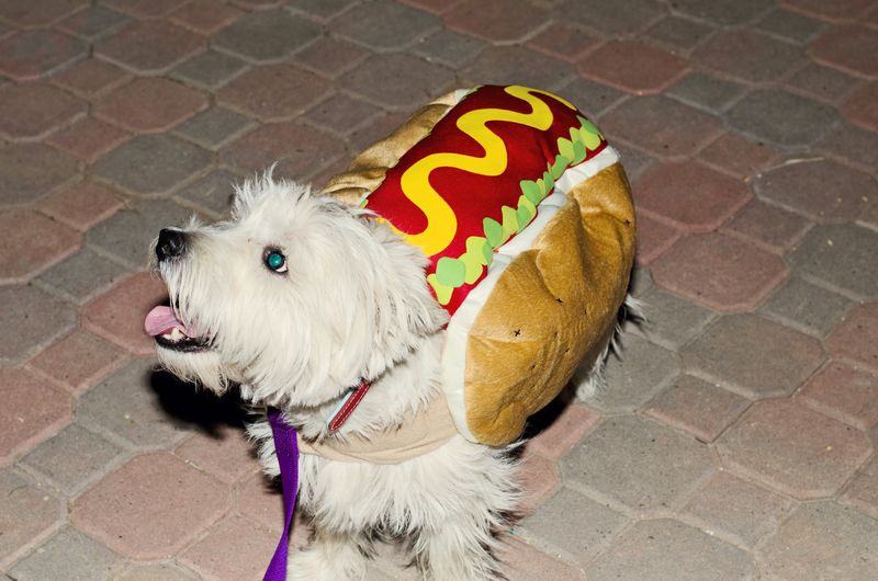 Kate Eschbach Photography-28a