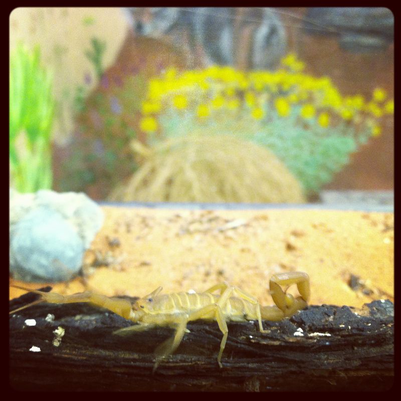 Kate Eschbach iPhone-13