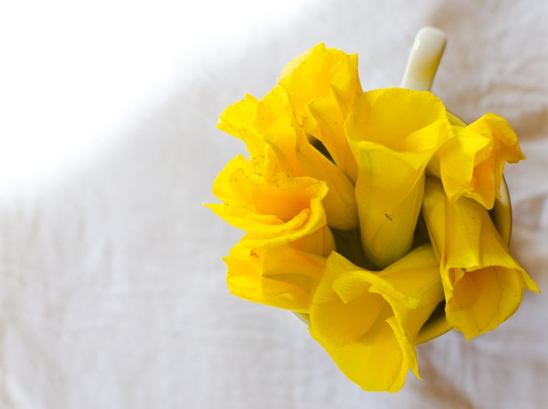 Kate Eschbach Photography - Yellow Buttercups-5