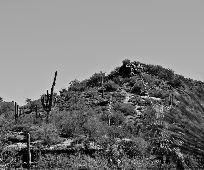 Kate Eschbach Photography - Alexa-4