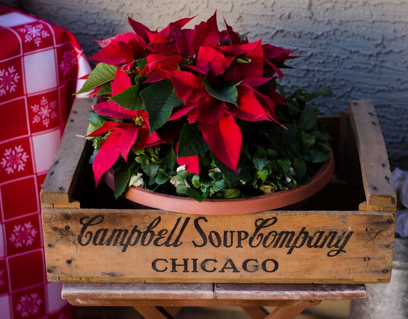 Kate Eschbach Photography-14