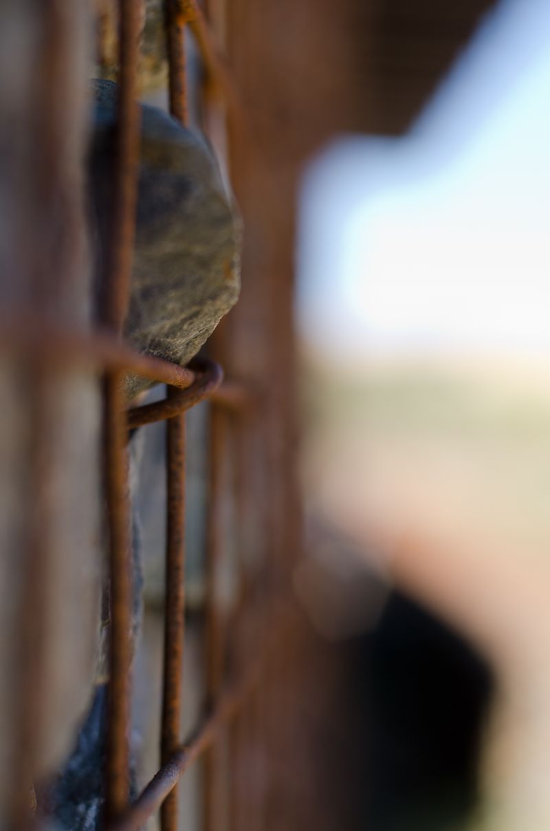 Kate Eschbach Photography - Alexa-3