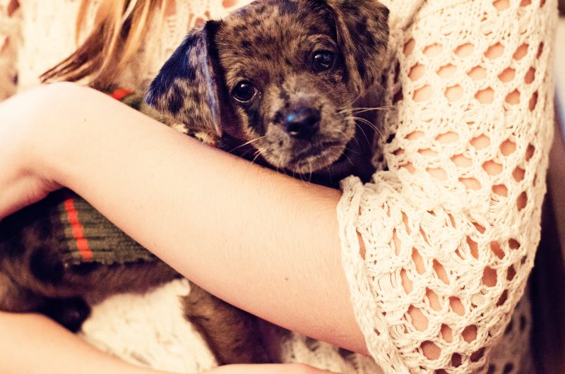 Kate Eschbach Photography-26a