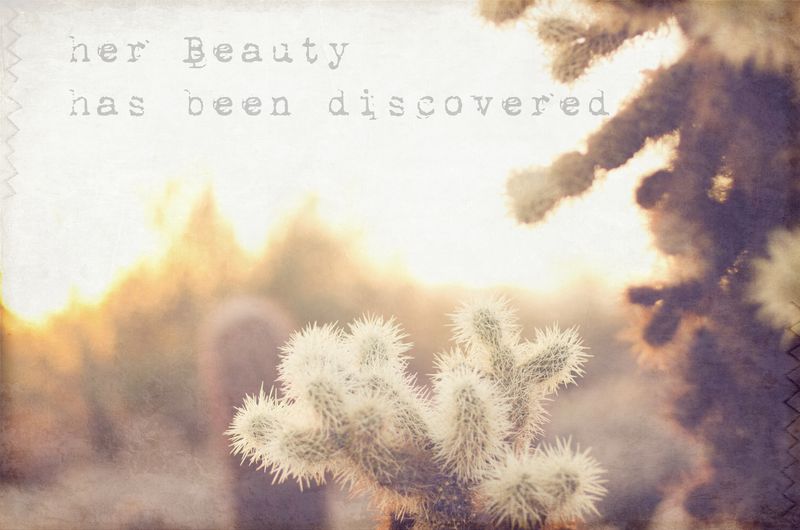 Kate Eschbach Photography-Beauty Discovered