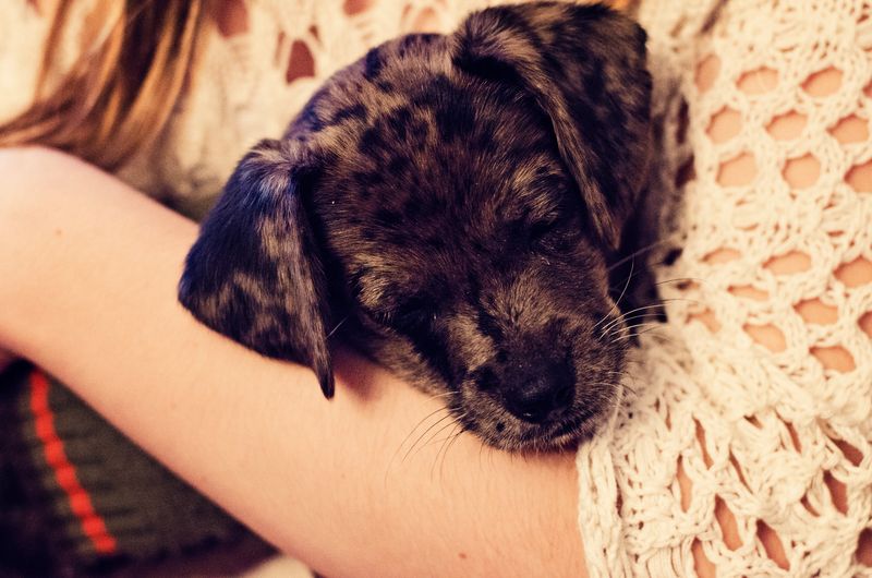 Kate Eschbach Photography-27a