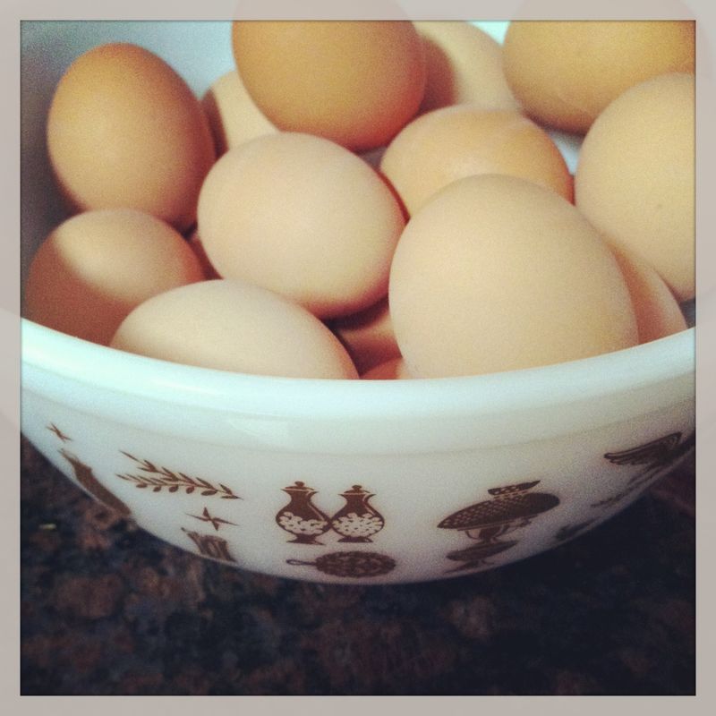 Kate Eschbach Photography-27