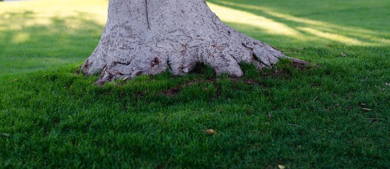 Kate Eschbach Photography-4